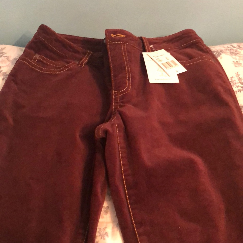 Cabi  Velour Garnet pants